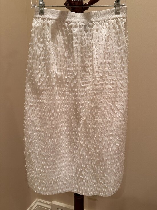 J. Crew Dresses & Skirts - J. Crew Women's White Skirt